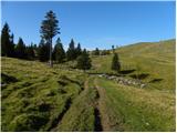 Za Ušivcem - Kapela Marije Snežne (Velika planina)